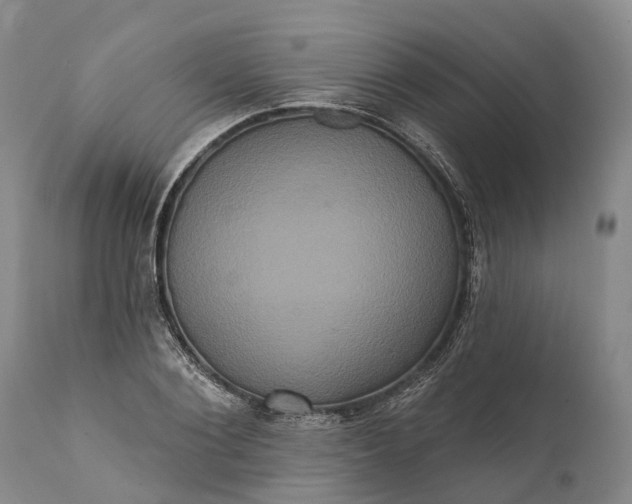 X0000112000884200908171417