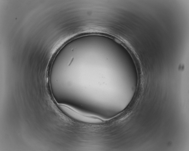 X0000112000885200908171417