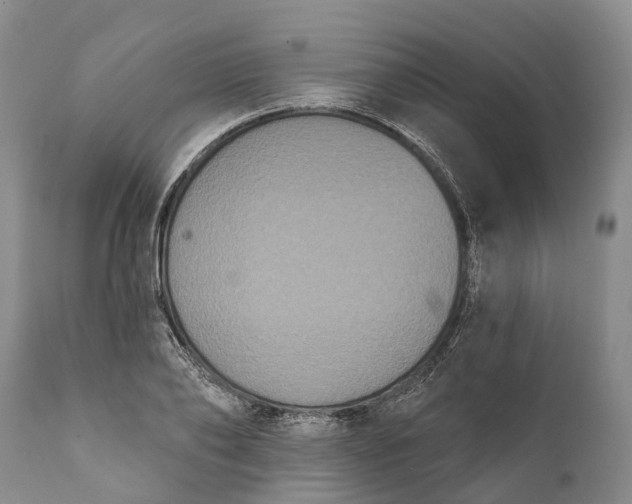 X0000112000886200908171417