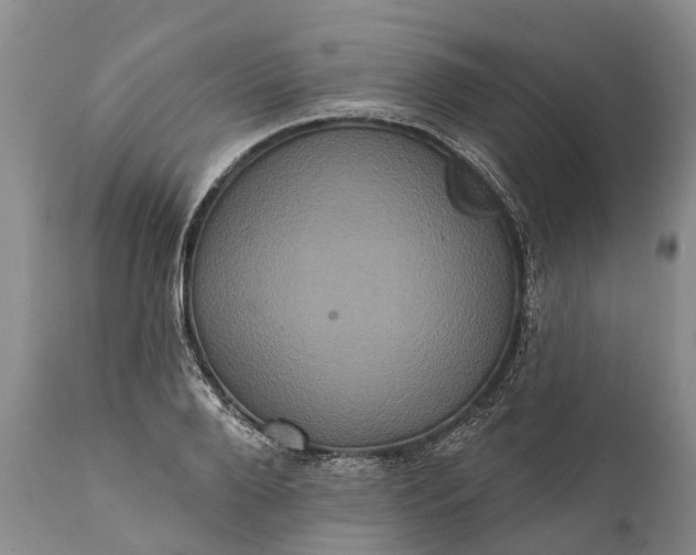 X0000112000888200908171417