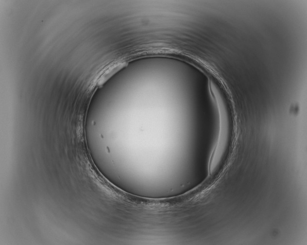 X0000112000889200908171417