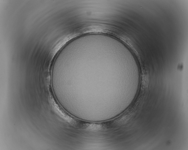 X0000112000890200908171417