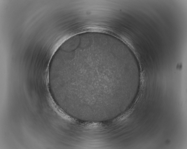 X0000112000891200908171417