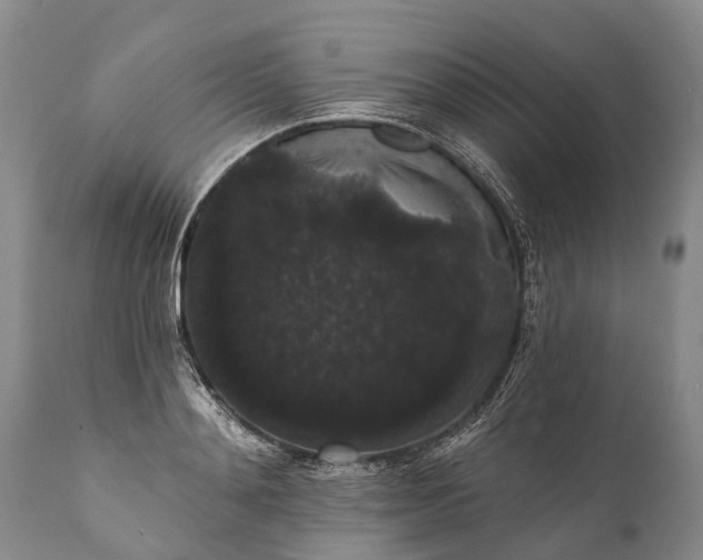 X0000112000892200908171417