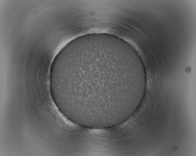 X0000112000894200908171416