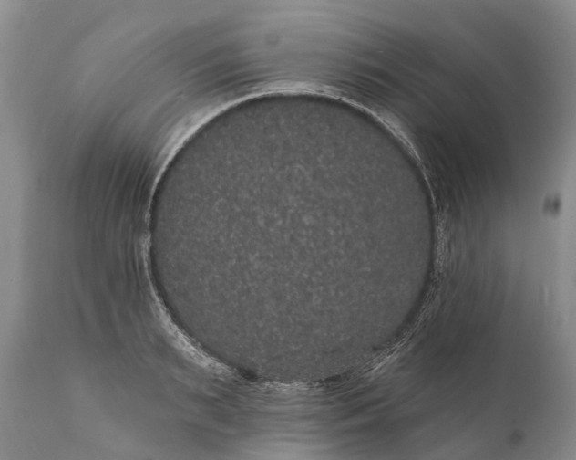 X0000112000895200908171416