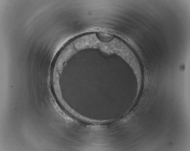 X0000112000896200908171416