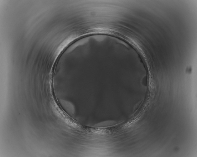 X0000112000899200908171416