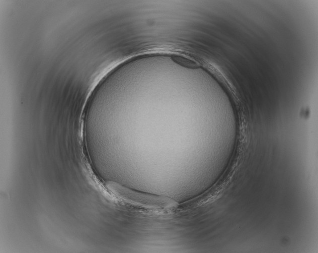 X0000112000900200908171416