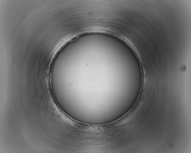 X0000112000901200908171416