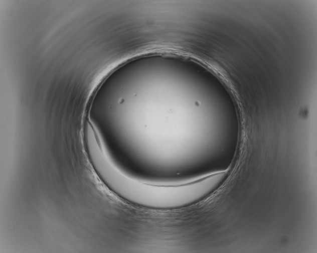 X0000112000904200908171416