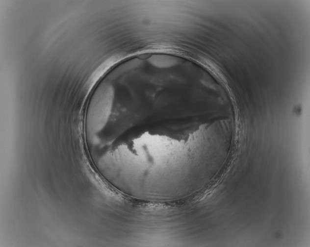 X0000112000907200908171416