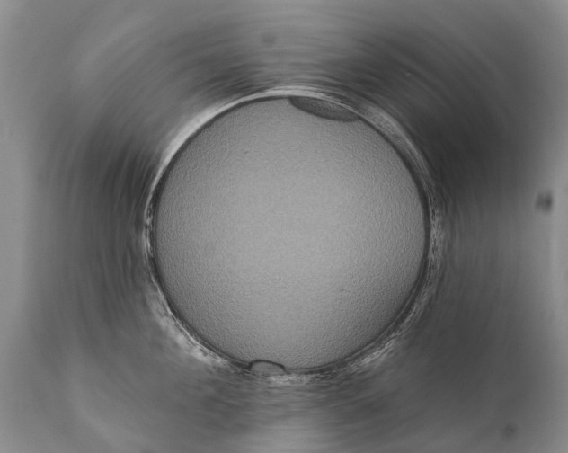 X0000112000908200908171416