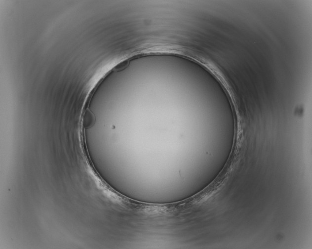 X0000112000909200908171416