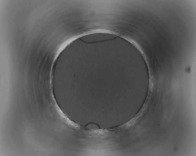 X0000112000910200908171416