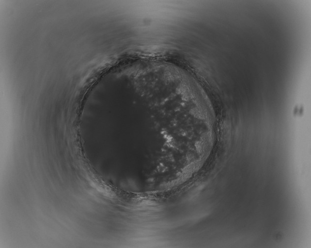 X0000112000913200908171416