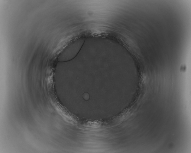 X0000112000914200908171416