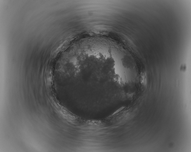 X0000112000915200908171416