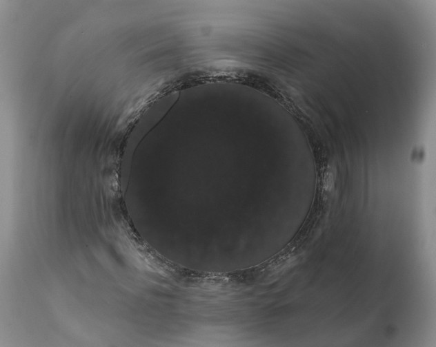 X0000112000916200908171416