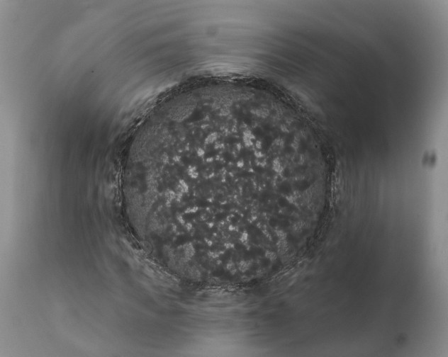 X0000112000917200908171416