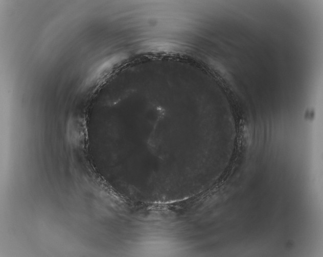 X0000112000918200908171416