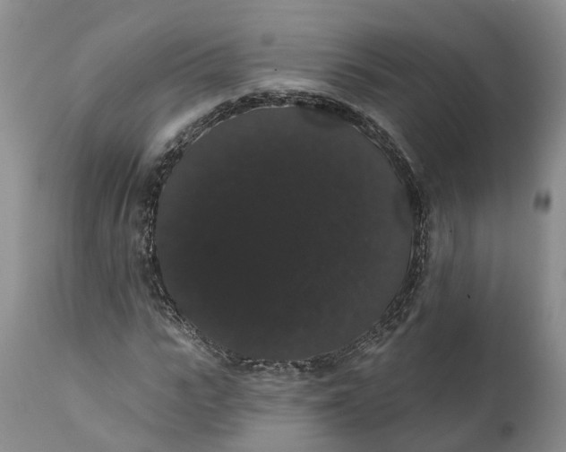 X0000112000919200908171416