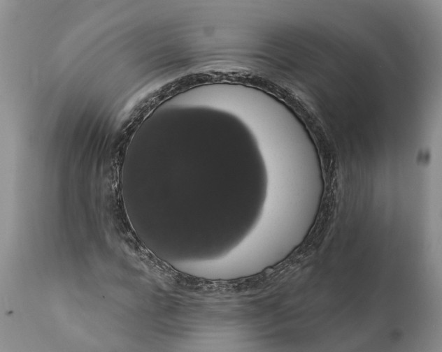 X0000112000920200908171416