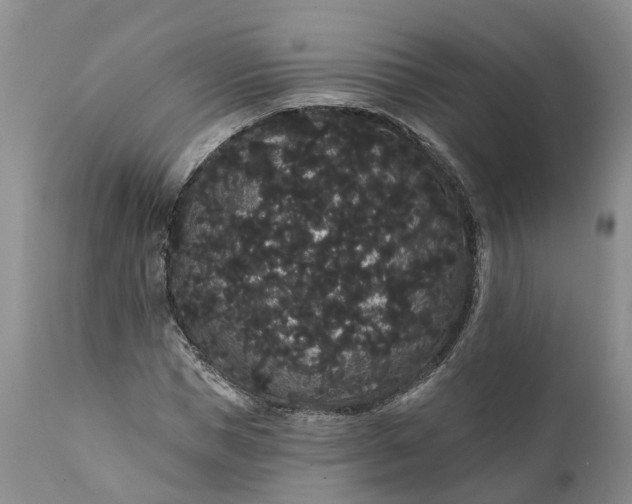 X0000112000921200908171416