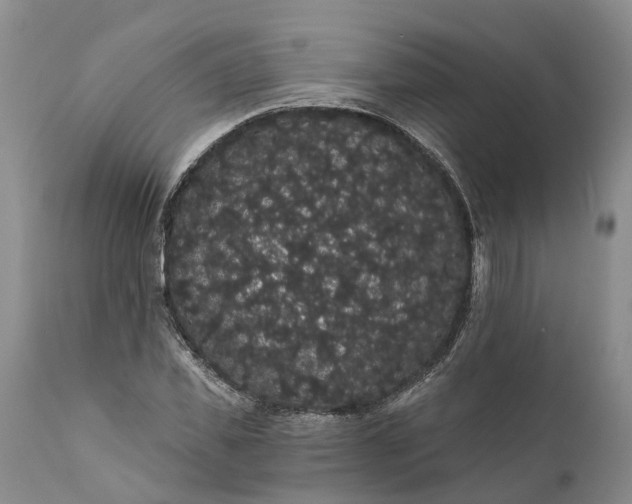 X0000112000925200908171416