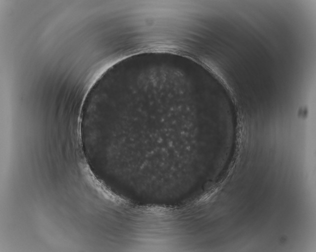 X0000112000932200908171416