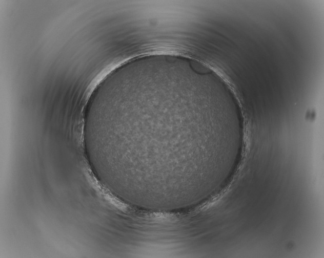 X0000112000933200908171416