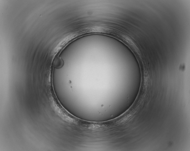 X0000112000938200908171416