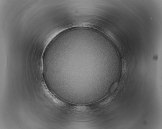 X0000112000940200908171416