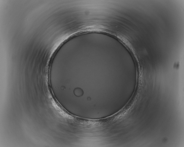 X0000112000941200908171416