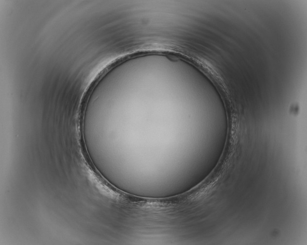 X0000112000942200908171416