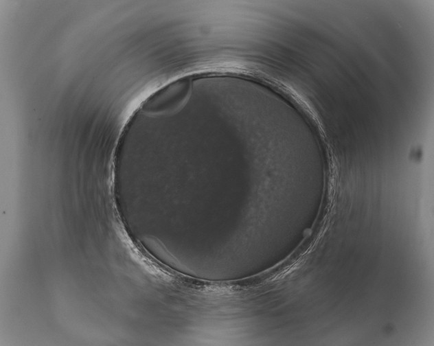 X0000112000944200908171416