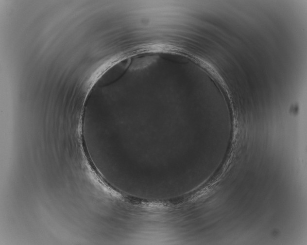 X0000112000946200908171416