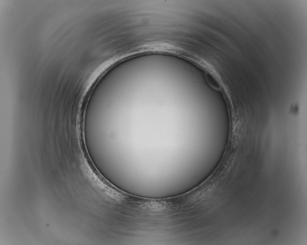 X0000112000947200908171416