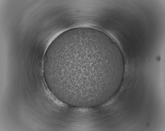 X0000112000948200908171416