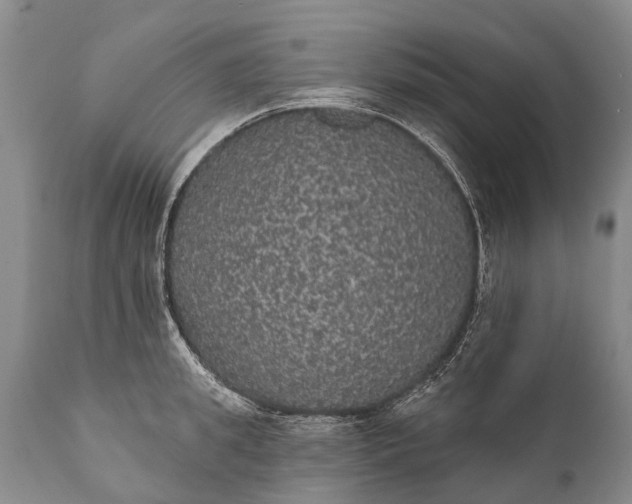 X0000112000949200908171416