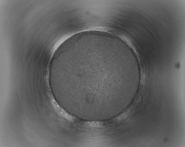 X0000112000952200908171416