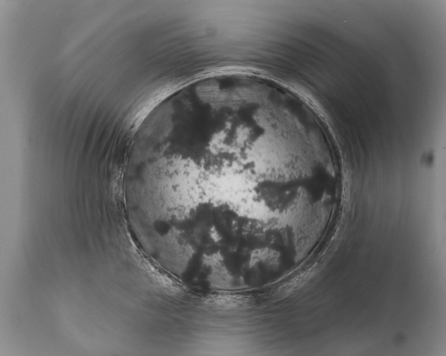 X0000112000953200908171416