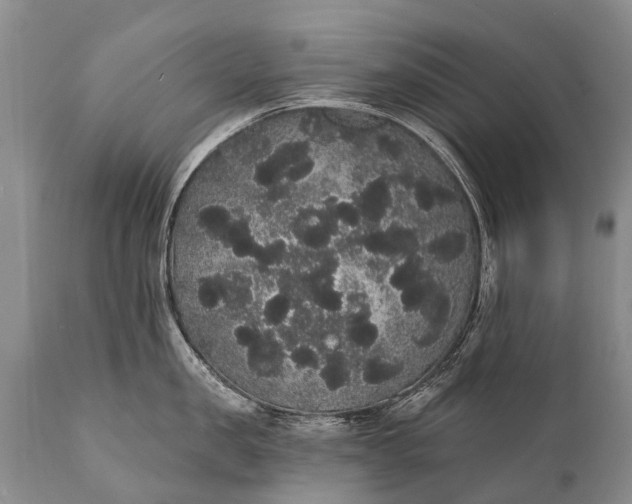 X0000112000957200908171416