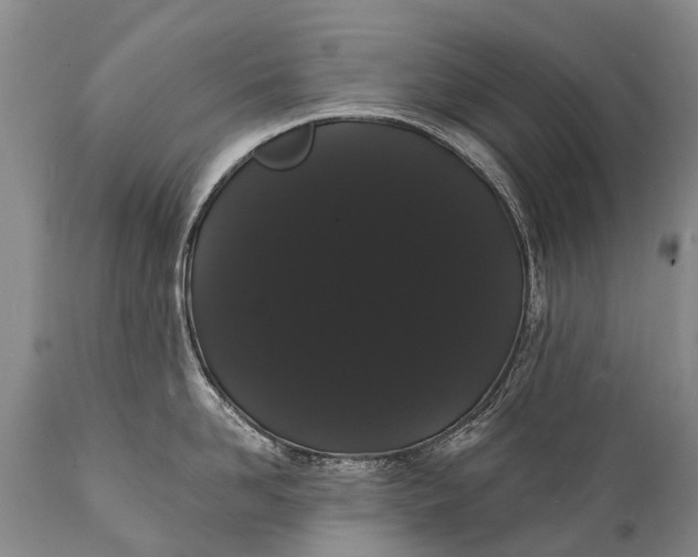 X0000112000958200908171416