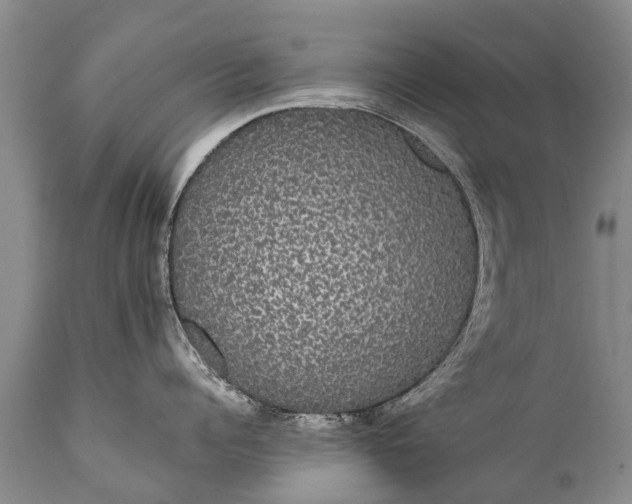 X0000112000960200908171416