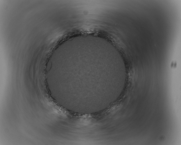 X0000112000961200908171416