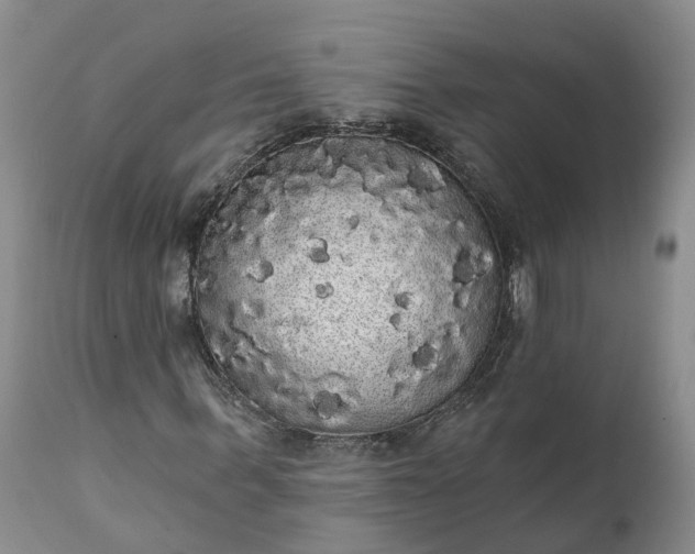 X0000112000963200908171416