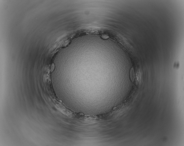 X0000112000964200908171416