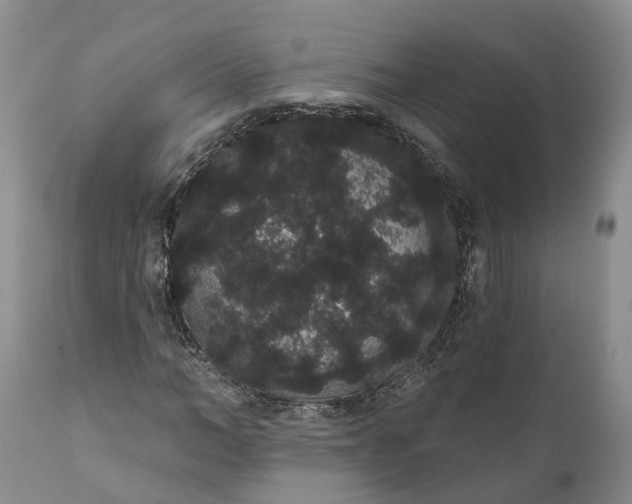 X0000112000966200908171415