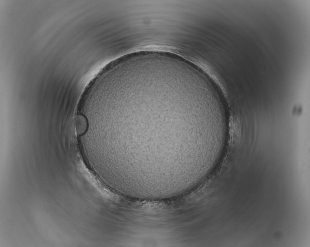 X0000112000972200908171415